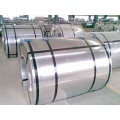 Galvanized Coil